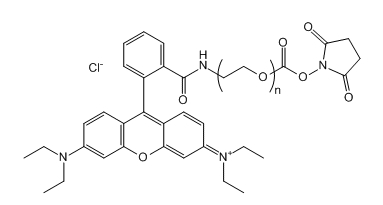 RB-PEG-SC;罗丹明B-聚乙二醇-琥珀酰亚胺碳酸酯;RB-PEG-NHS RB-PEG-SC;罗丹明B-聚乙二醇-琥珀酰亚胺碳酸酯;RB-PEG-NHS