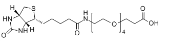 CAS No.：  721431-18-1；Biotin-PEG4-COOH应用于医学研究