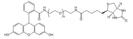 Biotin-PEG-FAM；生物素-聚乙二醇-FAM