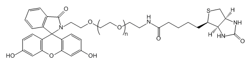 FITC-PEG-Biotin；荧光素-聚乙二醇-生物素；Fluorescein-PEG-Biotin