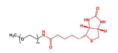 1705972859391095.png image.png