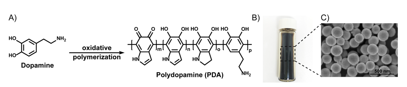 聚多巴胺纳米粒子