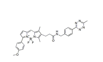 BDP TMR tetrazine