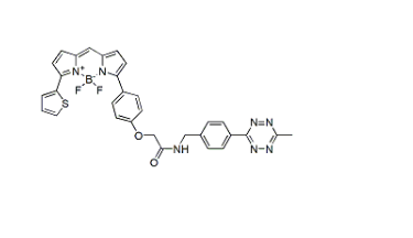 BDP TR methyltetrazine BDP TR methyltetrazine