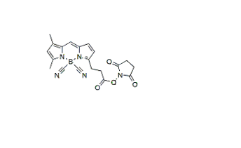 BDPep FL NHS ester BDPep FL NHS ester