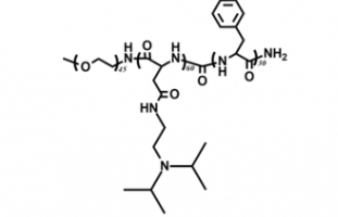 mPEG-PAsp-PPHE  甲氧基聚乙二醇-聚天冬氨酸-聚苯丙氨酸