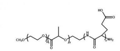 mPEG-PLA-PGA  甲氧基聚乙二醇-聚乳酸-聚谷氨酸