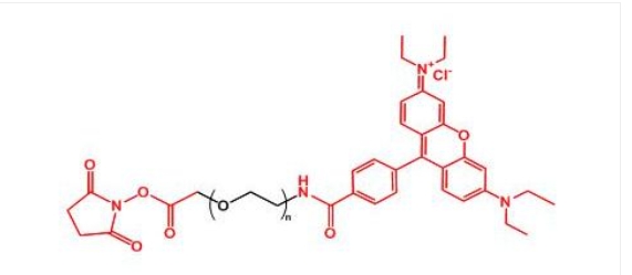 罗丹明聚乙二醇活性酯 RB-PEG-NHS