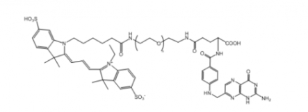 Cy3-PEG-Folate Cy3-PEG-FA Cy3-聚乙二醇-叶酸
