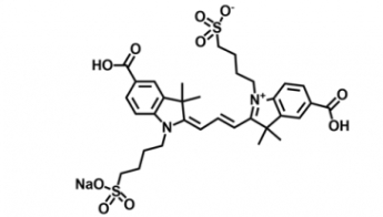 diSulfo-Cy3 bis-Carboxylic Acid  水溶性二磺酸基Cy3-二羧酸