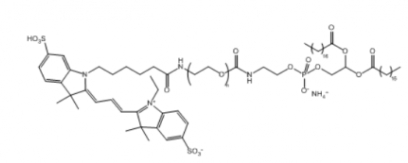Cy3-PEG-DSPE   Cy3-聚乙二醇-二硬脂酰基磷脂酰乙醇胺