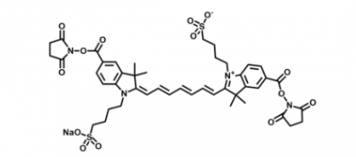 diSulfo-Cy7 Bis-NHS ester  二磺酸基Cy7-双活性酯