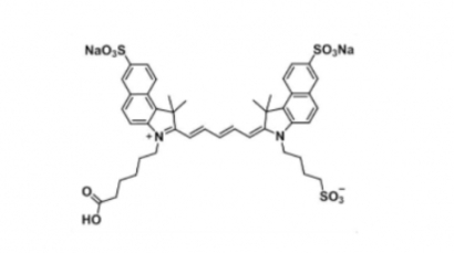 triSulfo-Cy5.5 carboxylic acid/水溶性Cy5.5 COOH triSulfo-Cy5.5 carboxylic acid/水溶性Cy5.5 COOH