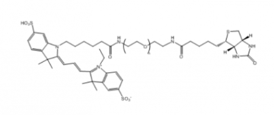 Cy3-PEG-Biotin  Cy3-聚乙二醇-生物素