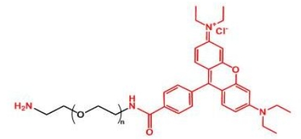 Rhodamine-PEG-NH2 罗丹明聚乙二醇氨基