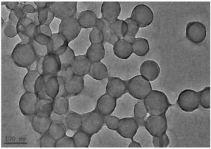 二氧化钛微球  5um；Titanium dioxide microspheres