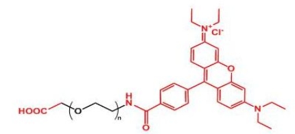 Rhodamine-PEG-COOH 罗丹明聚乙二醇羧基 Rhodamine-PEG-COOH 罗丹明聚乙二醇羧基
