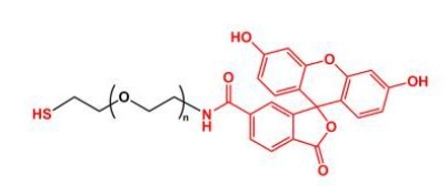  SH-PEG-FITC Thiol-PEG-FITC 荧光素聚乙二醇巯基