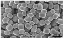 PEG2000-钛酸钡纳米颗粒
