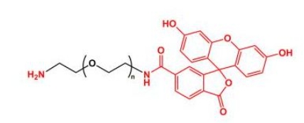 NH2-PEG-FITC Amine-PEG-FITC 荧光素聚乙二醇氨基