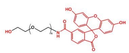 FITC-PEG-OH HO-PEG-FITC  荧光素聚乙二醇羟基