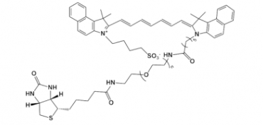 ICG-PEG-Biotin 吲哚菁绿-聚乙二醇-生物素