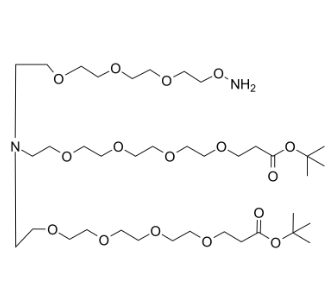 2112737-19-4，N-(Aminooxy-PEG3)-N-bis(PEG4-Boc)，PROTAC(蛋白降解靶向嵌合体)