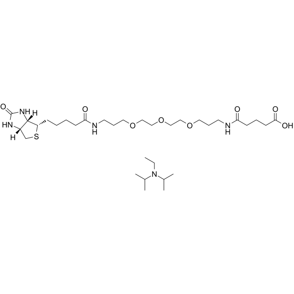 1205744-09-7	N-Biotinyl-NH-(PEG)2-CO2H·nDIPEA PROTAC(蛋白降解靶向嵌合体)