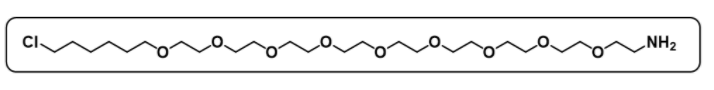 NH2-PEG9-C6-Cl