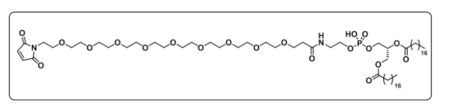 DSPE-PEG9-MAL