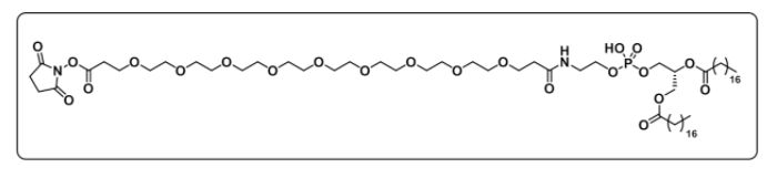 DSPE-PEG9-NHS ester