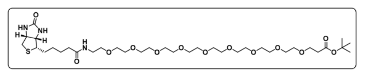 Biotin-PEG9-Boc