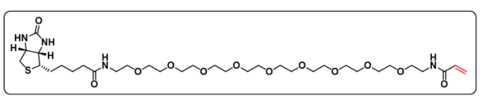 Biotin-PEG9-Acrylamide