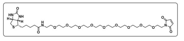 Biotin-PEG9-Mal