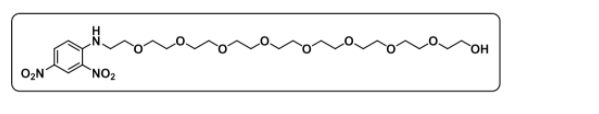 DNP-PEG9-OH