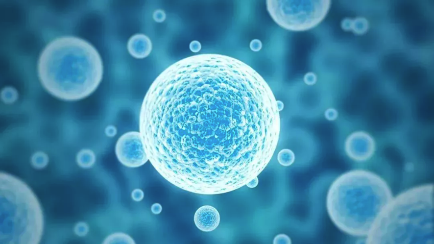 PLA1K-PCL3K-PEG5K 聚乳酸聚己内酯聚乙二醇