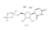 尿苷-5’-二磷酸	  
