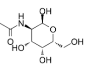 N-乙酰-D-半乳糖胺,水合  