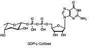 GDP-L-Colitose 