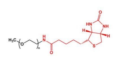 甲氧基PEG生物素 甲氧基PEG生物素