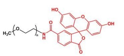 mPEG-FITC 