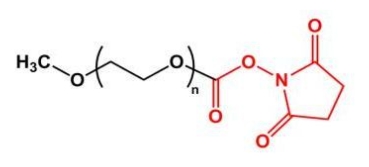 mPEG-NHS 