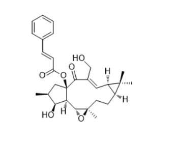 CAS :62820-11-5  Jolkinol A  
