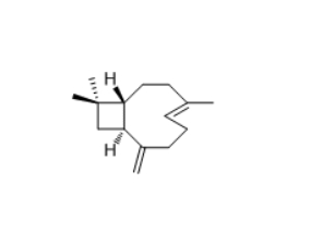 CAS :87-44-5  β-Caryophyllene  