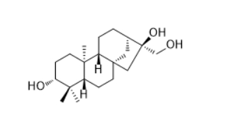 CAS ：130855-22-0  ent-Kaurane-3β,16α,17-triol  贝壳杉烷