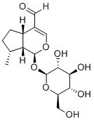 CAS：72963-55-4   Boschnaloside