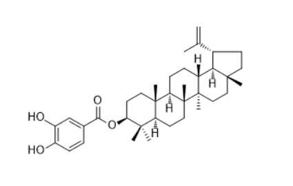  CAS ：2231323-99-0   3,4-Dihydroxybenzoyllupeol   植物提取物