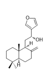 CAS ：61597-55-5   15,16-Epoxy-12-hydroxylabda-8(17),13(16),14-triene  