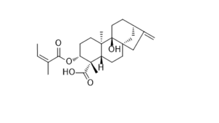   CAS ：79406-11-4   3α-Angeloyloxypterokaurene L3   三裂蟛蜞菊