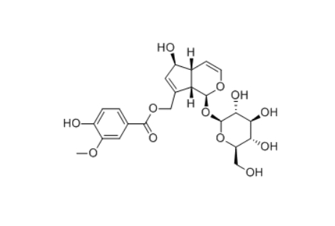 CAS ：193969-08-3   10-O-Vanilloylaucubin  牡荆属